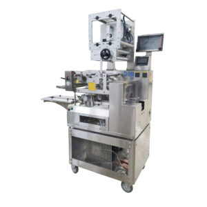 Horizontal Packaging Machine TD-100A Plus